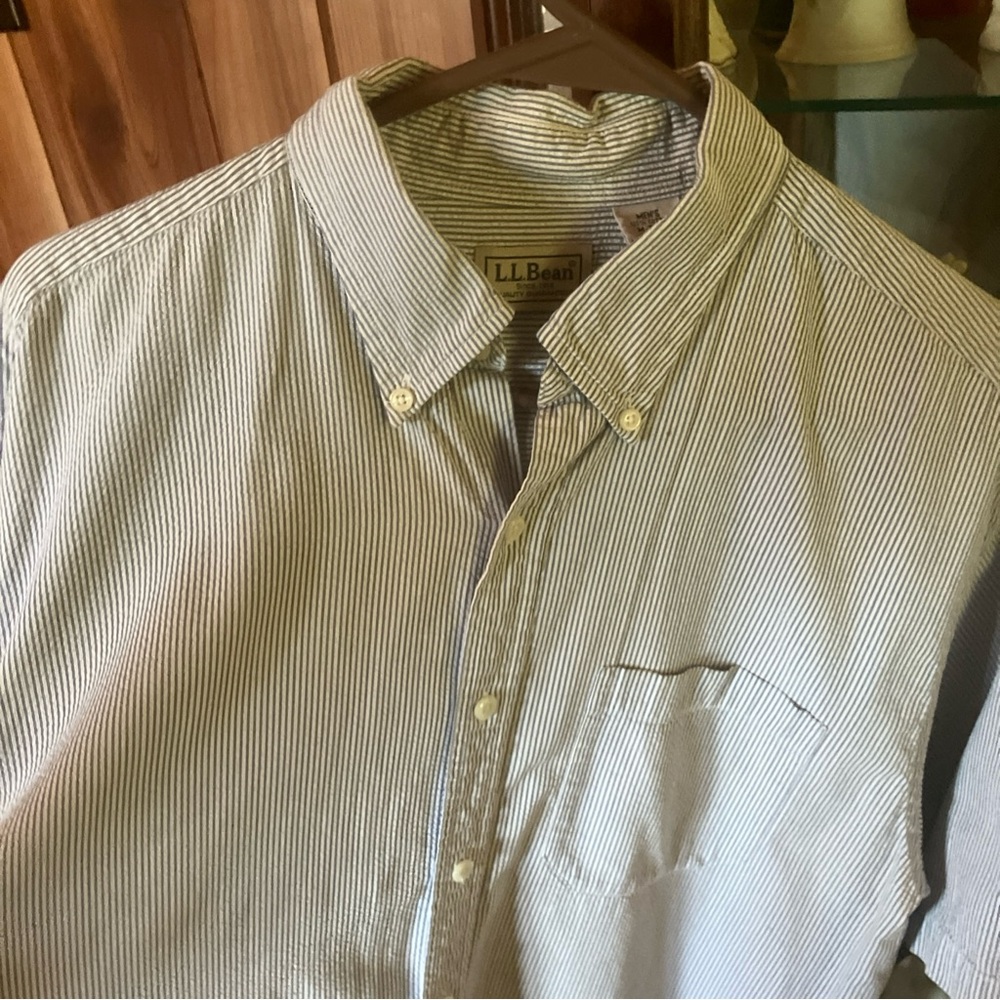 L.L. Bean Casual Blue and White Button Down Shirt - Picture 2 of 8